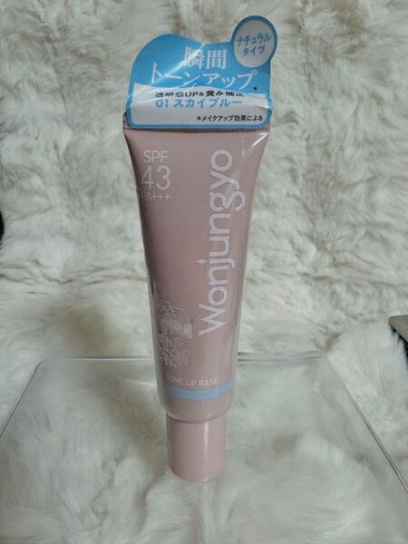 Wonjungyo トーンアップベース 01 スカイブルー SPF43 PA+++