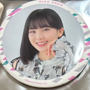 櫻坂 櫻坂46 キッチンカー 缶バッジ 遠藤理子