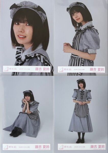 櫻坂 櫻坂46 生写真 ハロウィン衣装 2024年 ハロウィン 藤吉夏鈴 コンプ