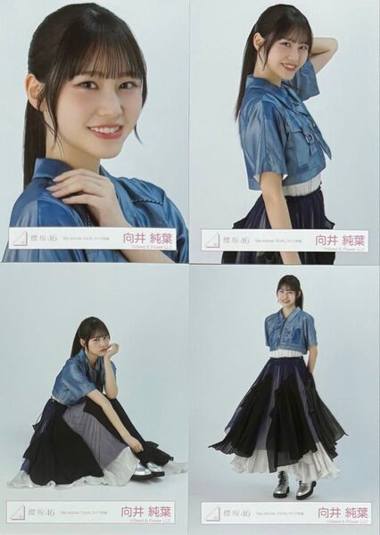 櫻坂46 生写真 4th ARENA TOUR ライブ衣装 向井純葉 コンプ