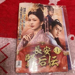 長安賢后伝 DVD 全31巻完結セット 中国ドラマ