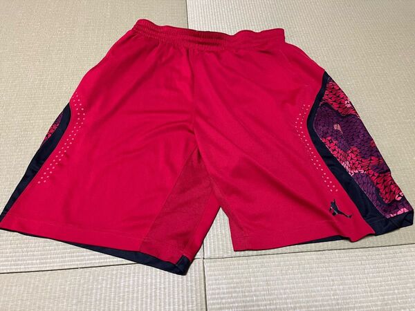 Jordan バスケットボールパンツ レッド