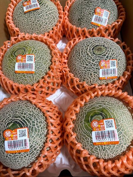クインシーメロン Lサイズ 箱込 4.5キロ程度 茨城県産