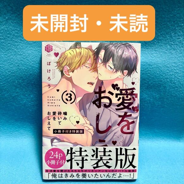【BL新刊 未開封・未読】噛み砕いて愛をおしえて 3巻 小冊子付特装版 ぽけろう