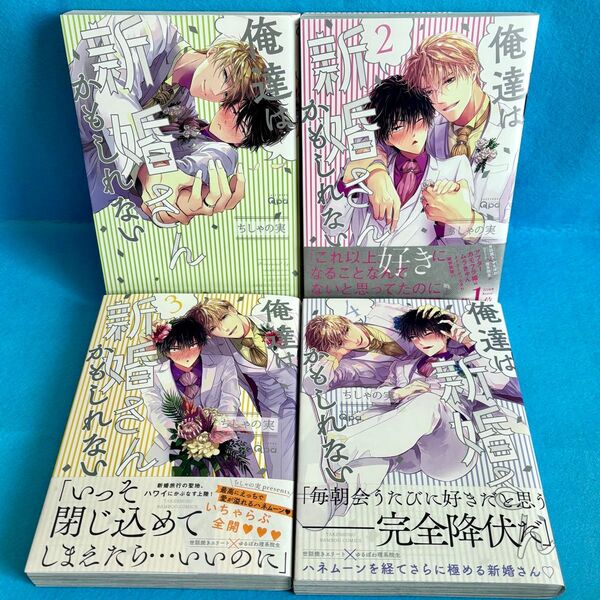 【BL】俺達は新婚さんかもしれない 1〜4巻 ちしゃの実