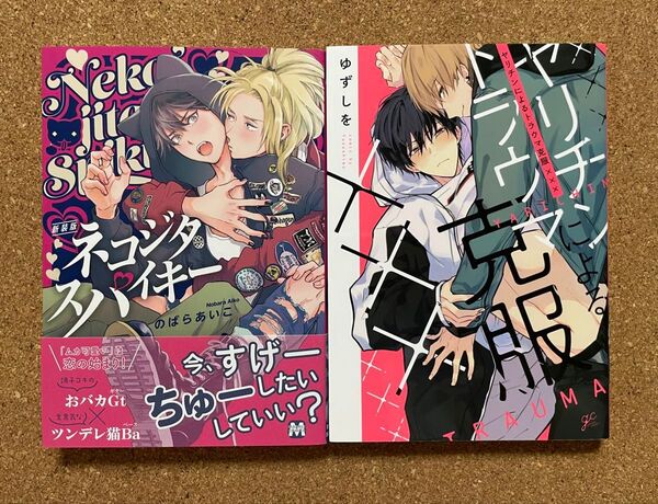 新装版ネコジタスパイキー/のばらあいこ*ヤリチンによるトラウマ克服×××/ゆずしを