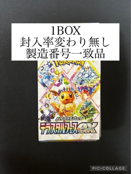 テラスタルフェスex 1BOX封入率変わり無し 製造番号一致品