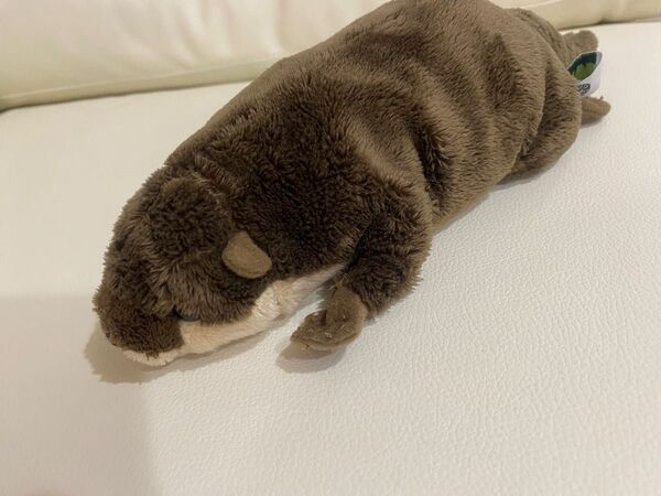カワウソ ぬいぐるみ 動物園