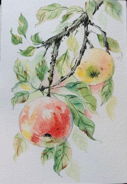 水彩画 原画 花果物風景画 絵画