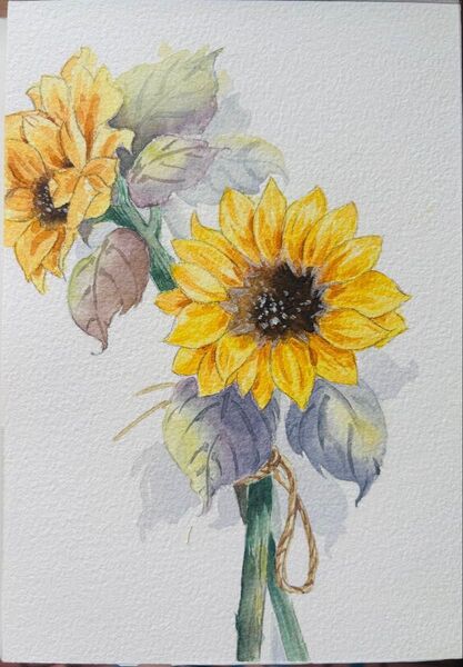 水彩画 原画 花果物風景画