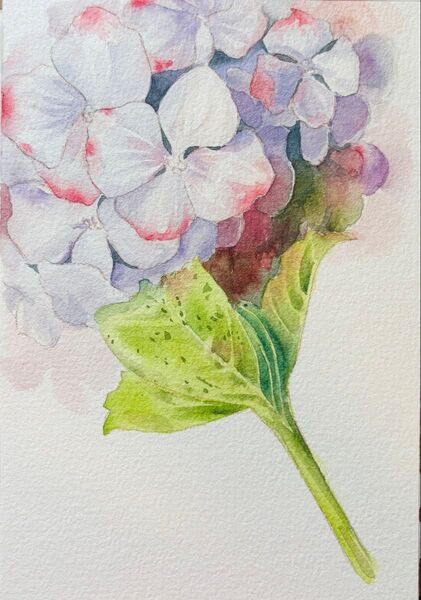 水彩画 原画 花果物風景画