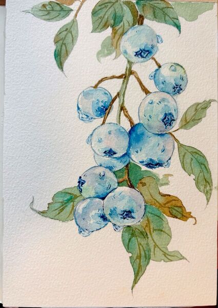 水彩画 花果物風景画 原画