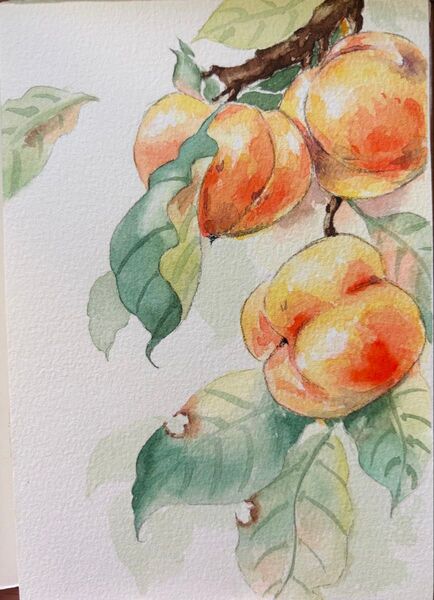 水彩画 原画 花果物風景画