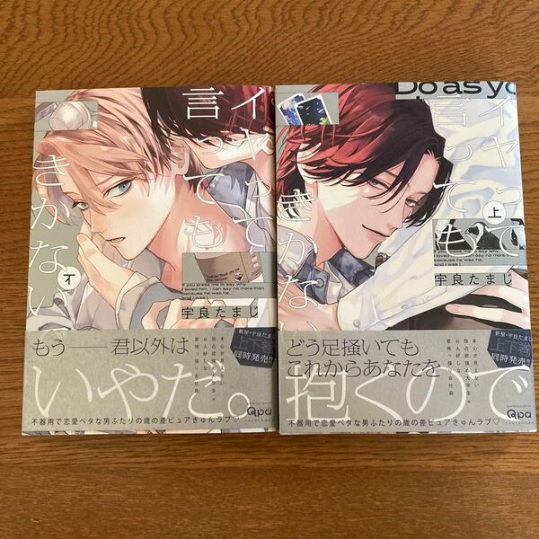 イヤって言ってもきかないで 上下巻セット 宇良たまじ