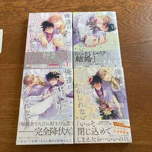 俺達は新婚さんかもしれない1-4巻セット ちしゃの実