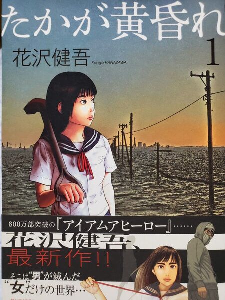 たかが黄昏れ 1 (ビッグコミックススペシャル) 花沢健吾/著