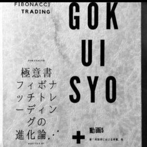 FX 極意書 フィボナッチトレーディングの進化論フレミアム版(288ページ)動画7個33.000円有用なテクニックを詰め込ん