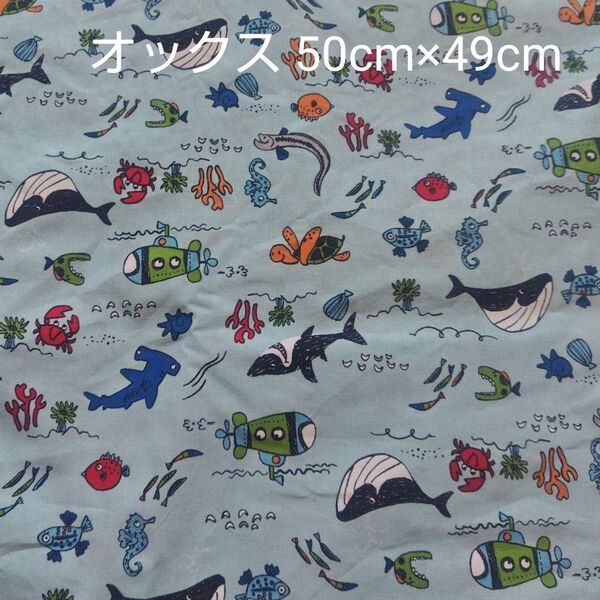 オックス はぎれ 海の生き物 水色