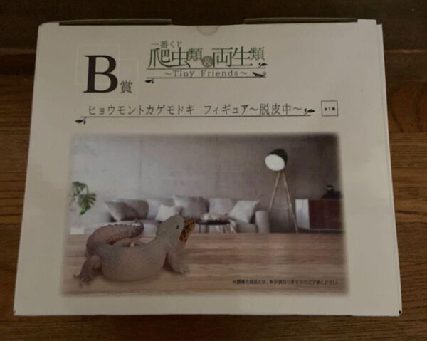 一番くじ爬虫類&両生類 B賞ヒョウモントカゲモドキ フィギュア〜脱皮中〜1種