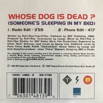 【eu-rap】Rob 'N' Raz / Whose Dog Is Dead?［CDs］未開封品《3f200》_画像3