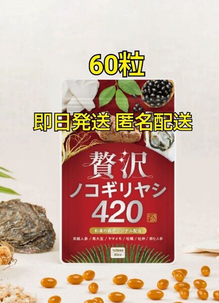 贅沢ノコギリヤシ420