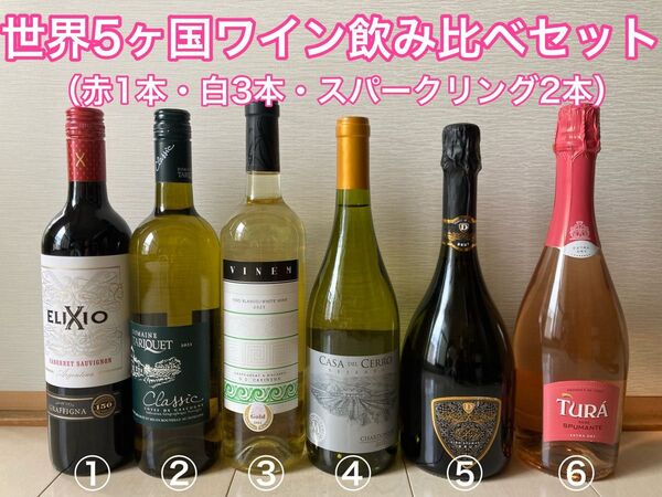 世界5か国ワイン飲み比べ6本セット (750ml×6本)【税込み】【送料込み】