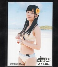 AKB48 指原莉乃 ラブラドールレトリバー 通常盤 購入特典 生写真 3種コンプ 一括まとめ出品 HKT48_画像2