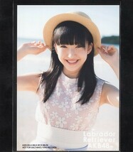 AKB48 田島芽瑠 ラブラドールレトリバー 通常盤 購入特典 生写真 3種コンプ 一括まとめ出品 HKT48_画像3