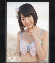 AKB48 宮脇咲良 ラブラドールレトリバー 通常盤 購入特典 生写真 3種コンプ 一括まとめ出品 HKT48_画像4