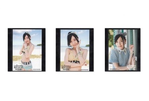 AKB48 松井珠理奈 ラブラドールレトリバー 通常盤 購入特典 生写真 3種コンプ 一括まとめ出品 SKE48