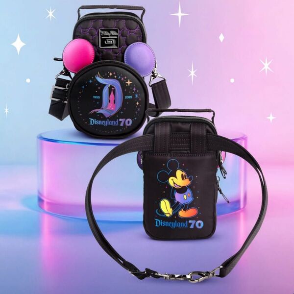 ディズニーランドリゾート 70周年記念 ラグバッグ 肩掛けバッグ
