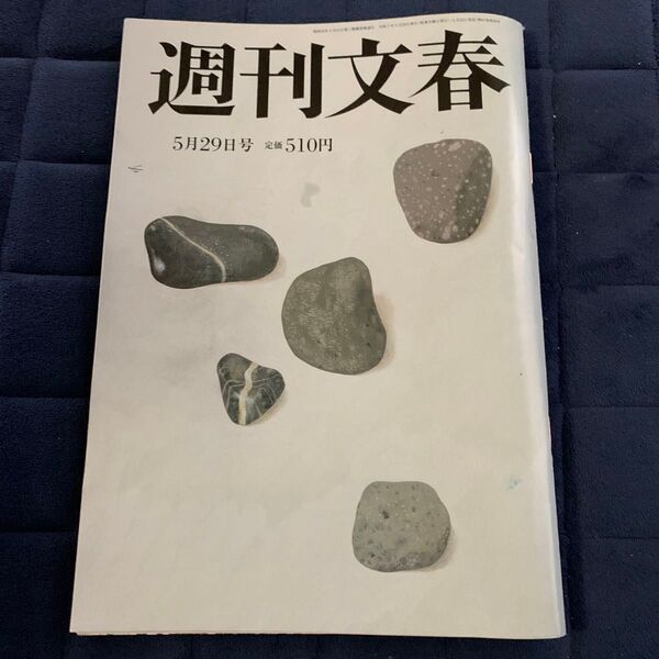 週刊文春 2025年5月29日号 (文藝春秋)