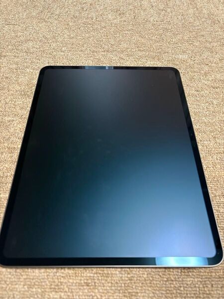 【超美品】13インチiPad Pro WiFiモデル1TB M4