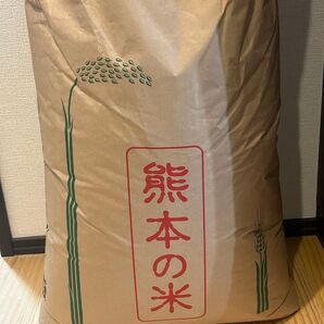熊本産ヒノヒカリ 令和6年 玄米20キロ