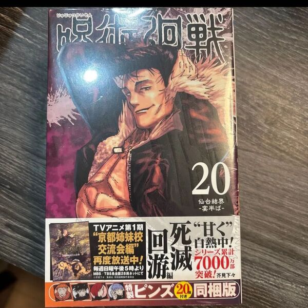 呪術廻戦 20巻 特製ピンズ20個付き