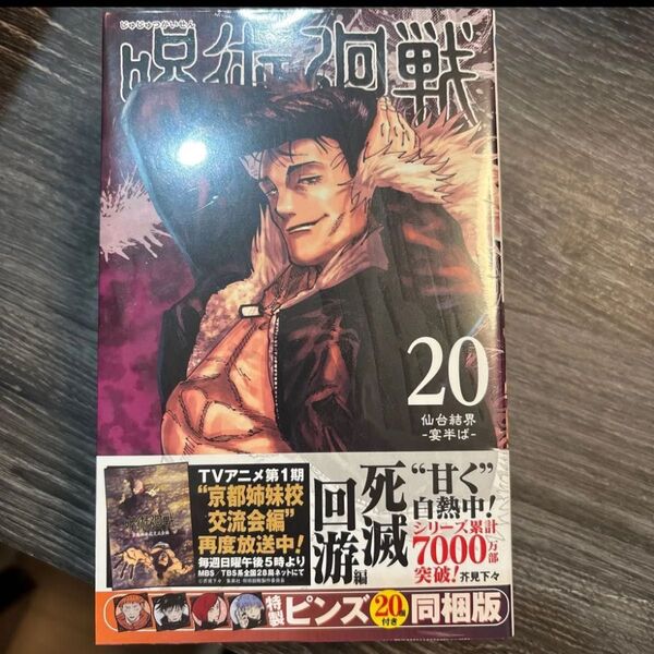 呪術廻戦 20巻 特製ピンズ20個付き