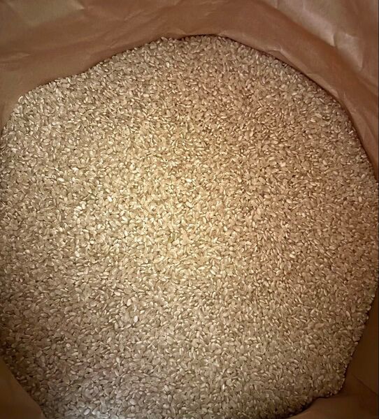 宮城県産 令和6年産 ひとめぼれ 玄米20kg