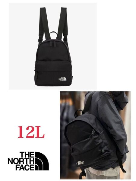 新品未使用 THE NORTH FACE ノースフェイス TNFデイパック ミニリュック 12L ブラック 海外限定