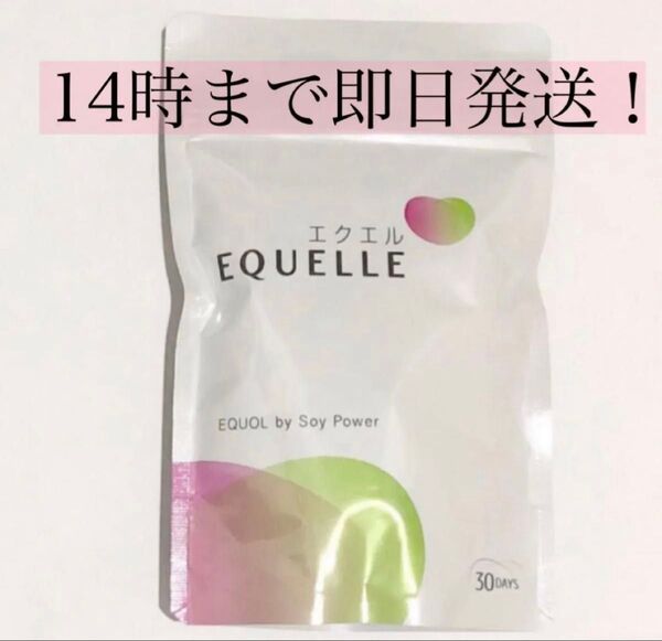 エクエル 大塚製薬 EQUELLE 大豆イソフラボン エクオール パウチタイプ