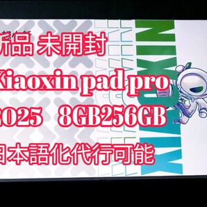 Lenovo Xiaoxin Pad Pro 12.7 2025 8GB 256GB グレー