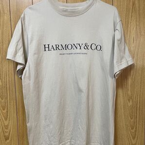 清春ハーモニーズTシャツM +チラシ2枚