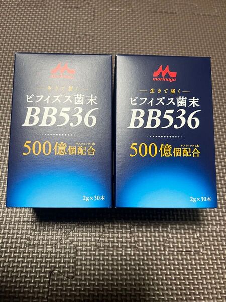 森永乳業 BB536 ビフィズス菌末 500億個配合 2箱セット