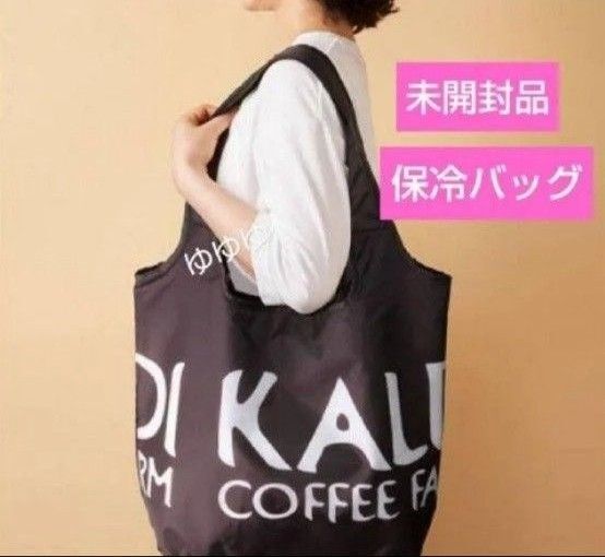 KALDI カルディ コンパクト保冷バッグ エコバッグ ブラック 黒 保冷バッグ 折り畳み 折り畳みエコバッグ 新作 新品