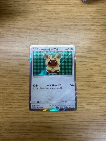 ポンチョを着たイーブイ リーフィア ポケモンカード ポケモンカードゲーム