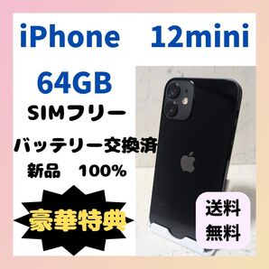 【美品&動作良好】iPhone12mini SIMフリー ブラック