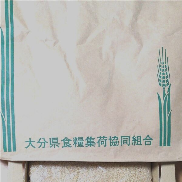 【令和5年産】ひのひかり 玄米。1.2kg。大分県産。白米に混ぜて炊いて、健康にも◎ 農家直送! 送料無料♪