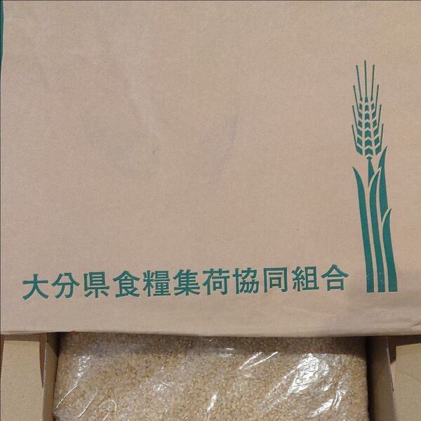 《令和5年産》ひのひかり玄米。1kg 大分県産。白米に混ぜて炊いて健康にも◎ 送料無料。農家直送!フォロー割引あり。