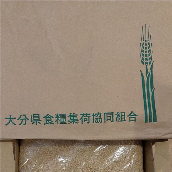 ★令和6年産入荷★ひのひかり玄米1.3kg。大分県産。白米に混ぜて炊いて健康に◎ ※価格は相場により変動あり。農家直送!