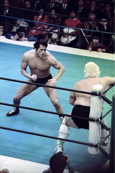 プロレス生写真 アントニオ猪木② 20枚1組