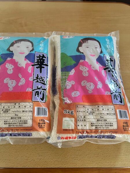 令和6年産 福井県産華越前 白米5kg×2袋